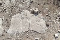 Dolomitic marble on surface of Mirerani Hills, Tanzania