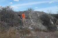 Huge boulder of dolomitic marble