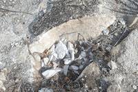 Dolomitic marble on Mirerani Hills