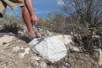 White dolomitic marble