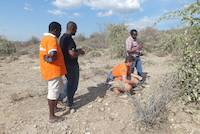 Geological survey on Mirerani Hills, Tanzania
